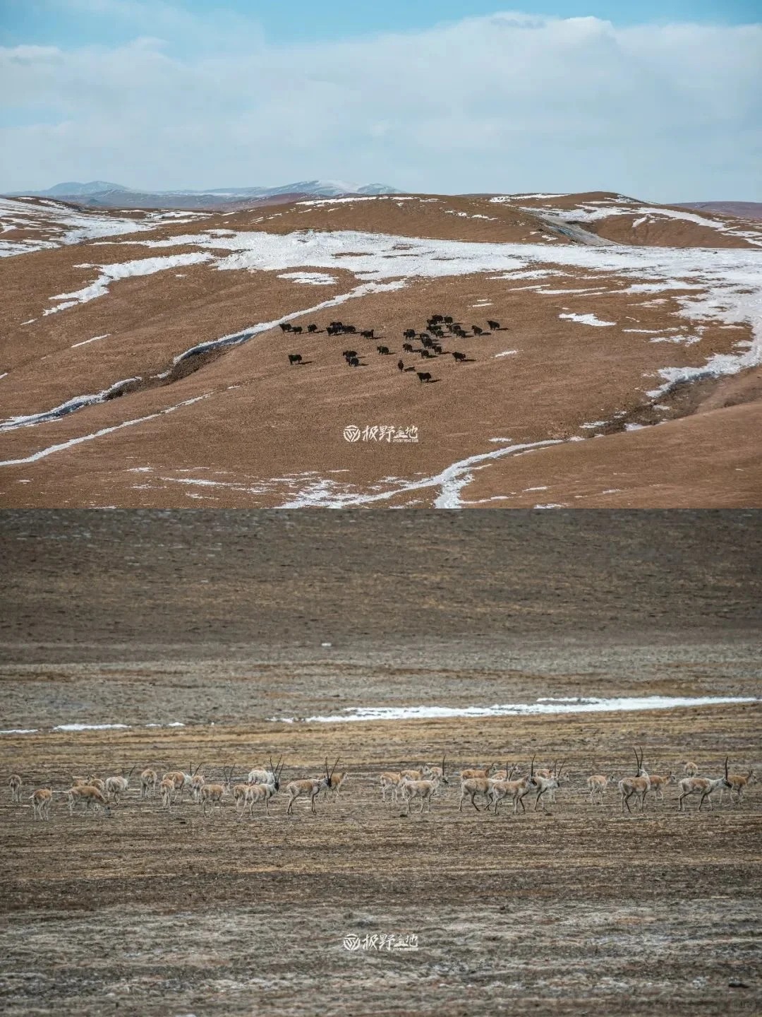 11月活动｜走，我们去无人区野餐去❗_3_食野山桌_来自小红书网页版